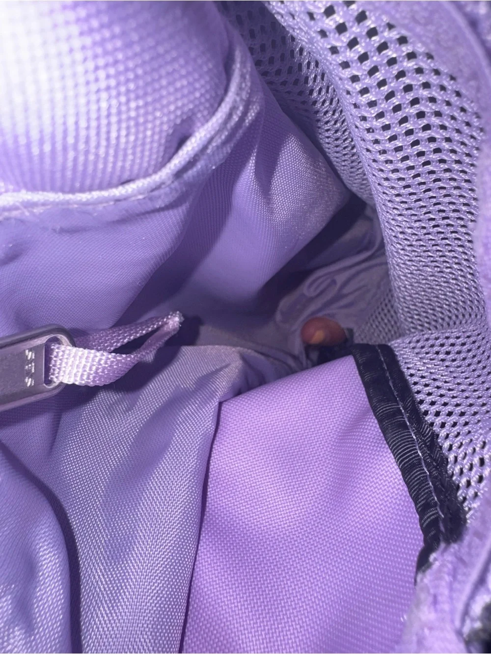 The North Face Jester Backpack in Lavender